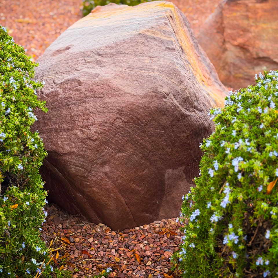A large brown rock surrounded by green bushes with small white flowers.