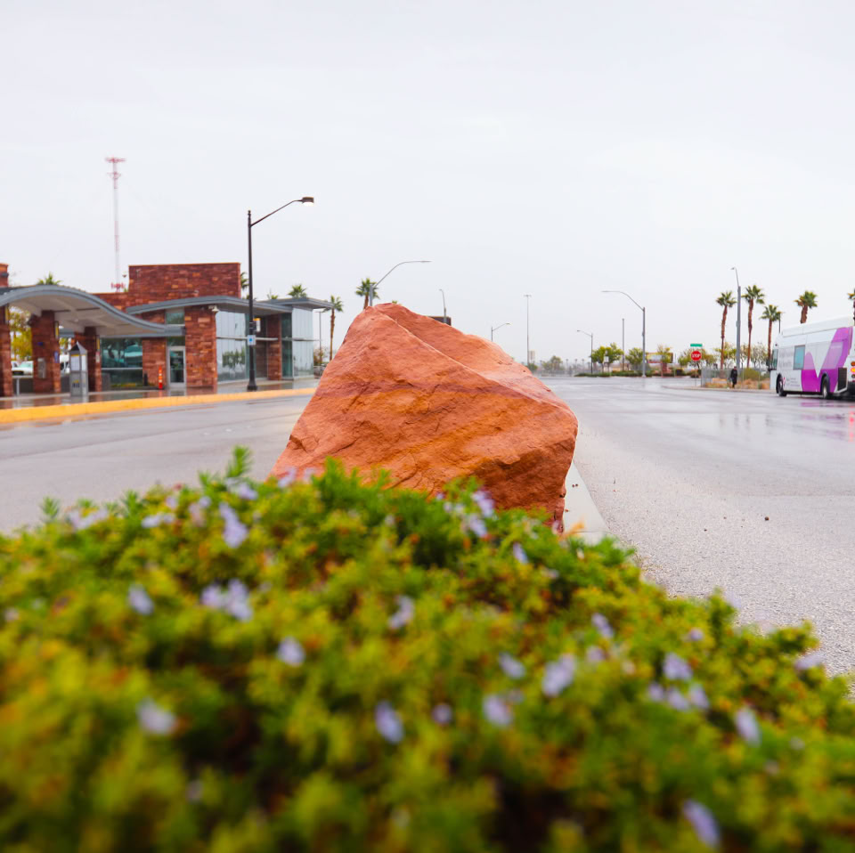 A wet street with a red rock and green shrubbery in the foreground, buildings and palm trees in the background under a cloudy sky.