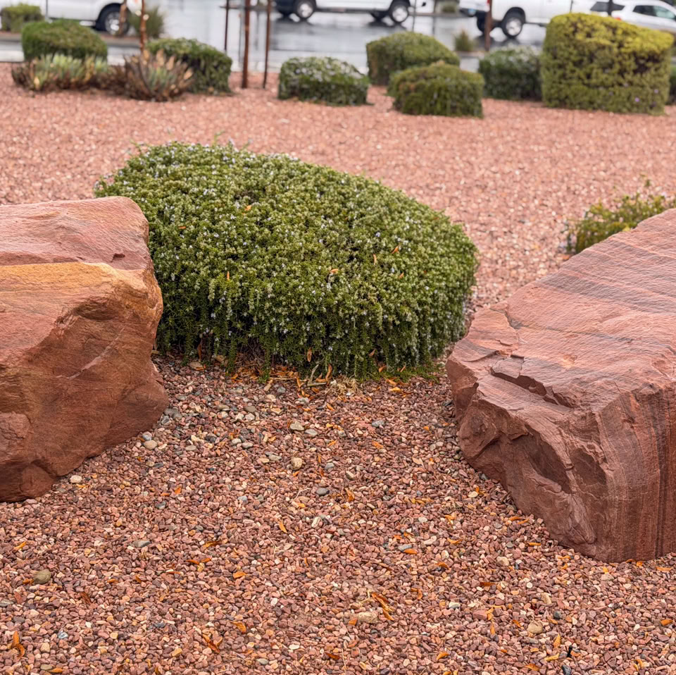 Landscape with large red rocks, a green bush, and gravel ground cover.