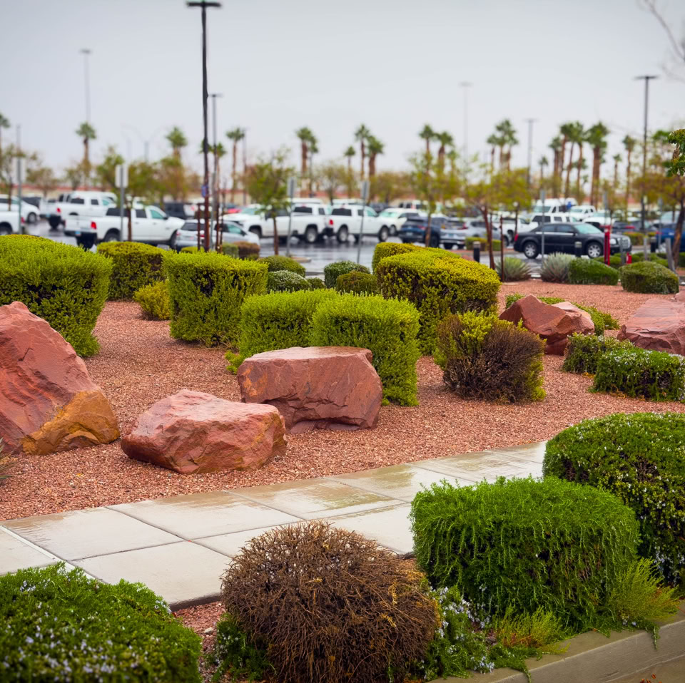 A landscaped area with red rocks and green shrubs, adjacent to a parking lot filled with cars.