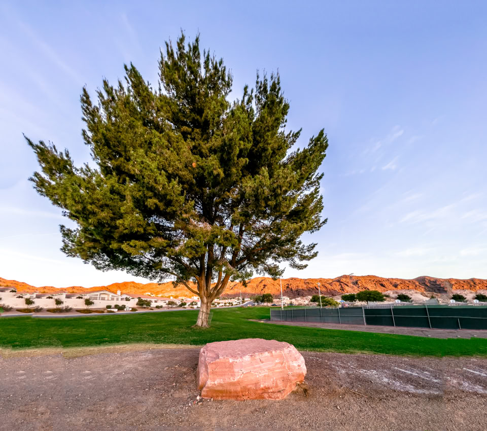 A large tree stands on a grassy area with a pinkish rock in the foreground, surrounded by a dirt path. In the background, there are distant hills and a clear blue sky.