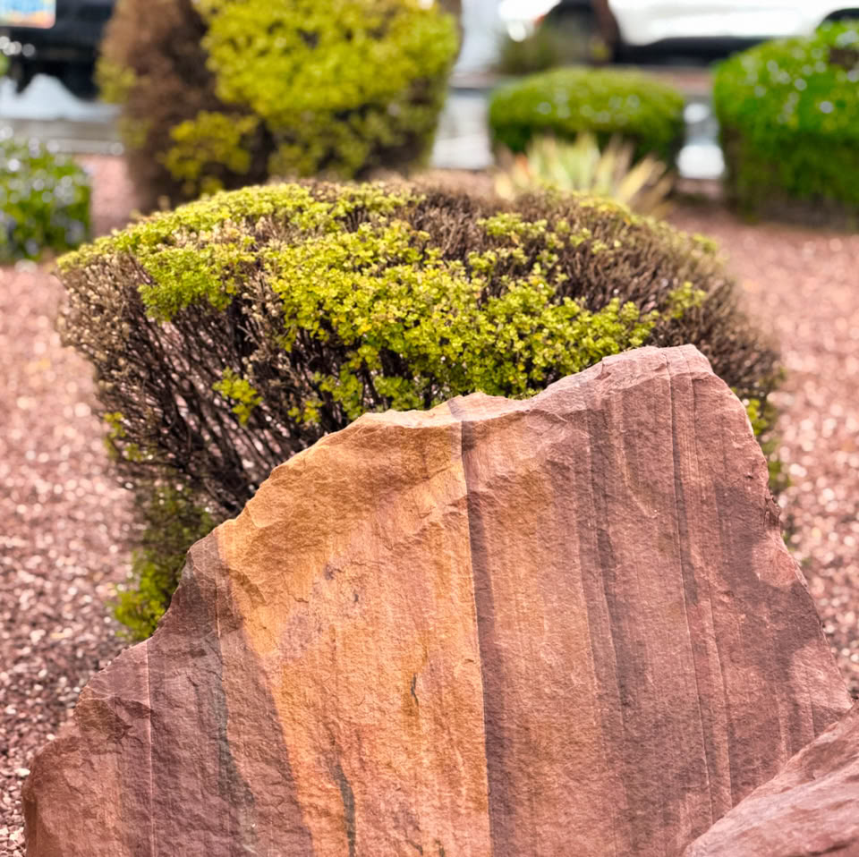 A landscaped garden with a large reddish-brown rock in the foreground, surrounded by neatly trimmed bushes and gravel.